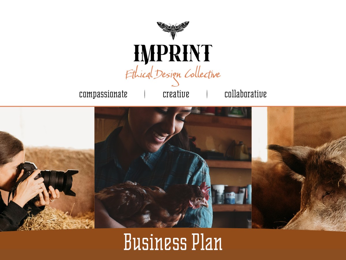 Phase 3 (Week 9-10) Tutor and peer review of work to&nbsp;date.