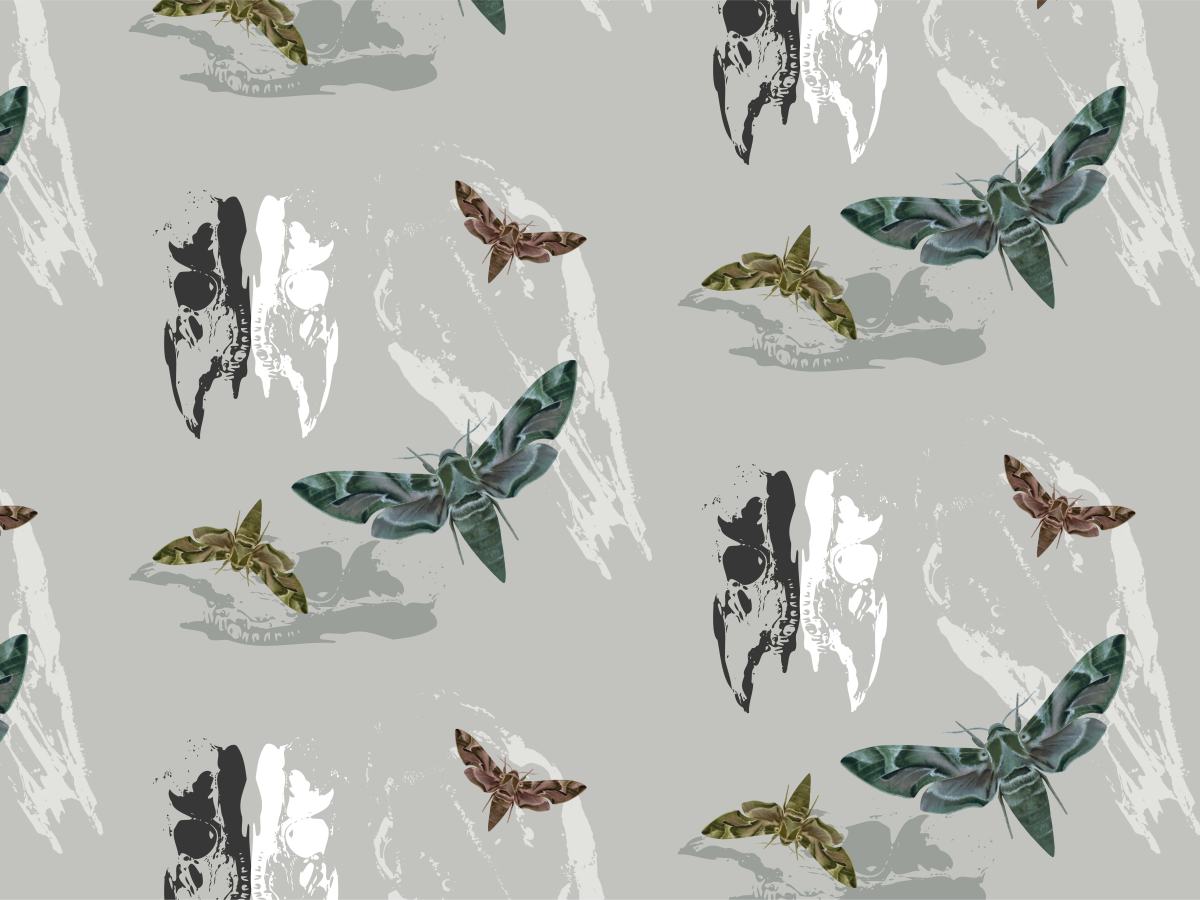 Phase 2: (Week 5-6) Skills and design experimentation – Short project warm-ups and project&nbsp;planning.